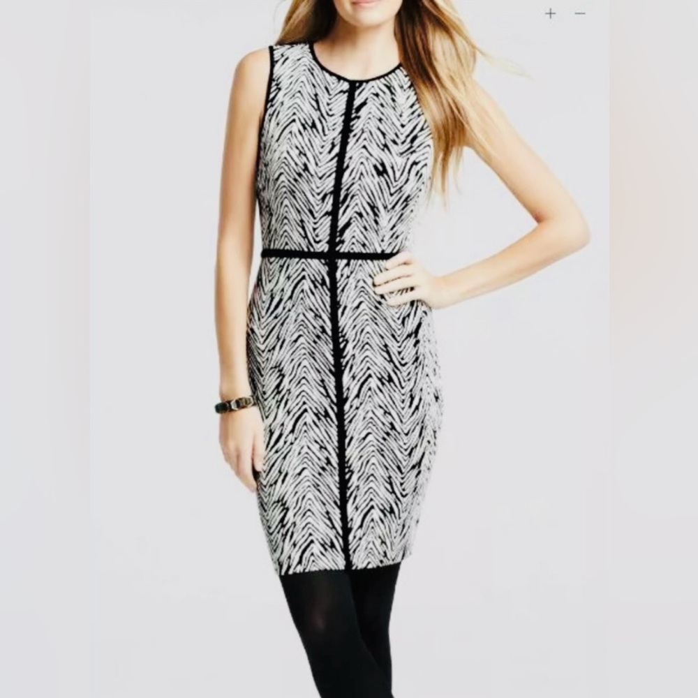 Ann Taylor dress